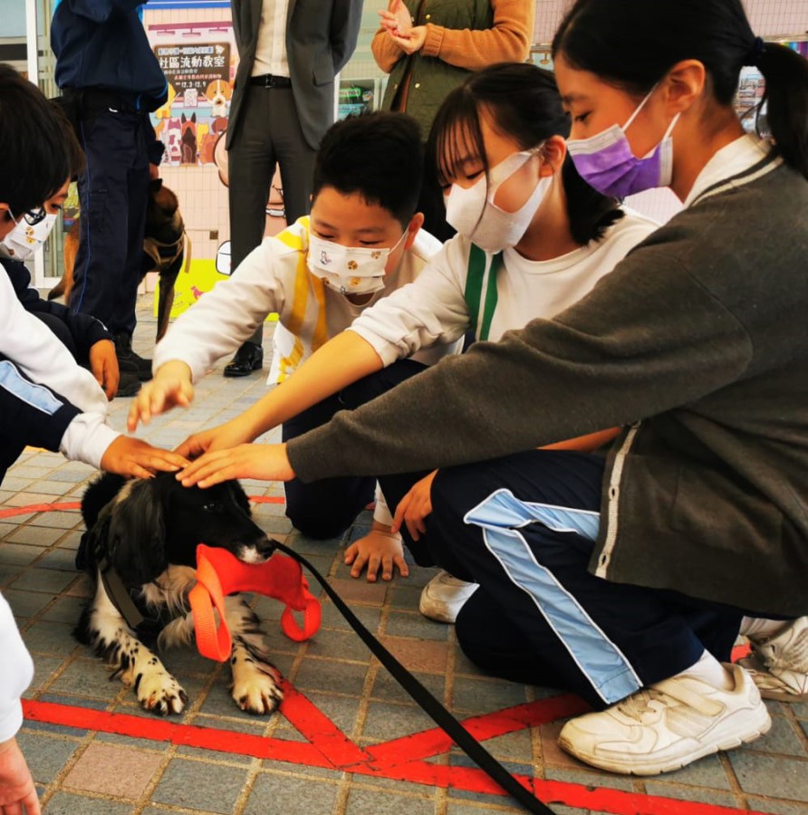 Hong Kong Jockey Club Kowloon West Animal Watchers Programme