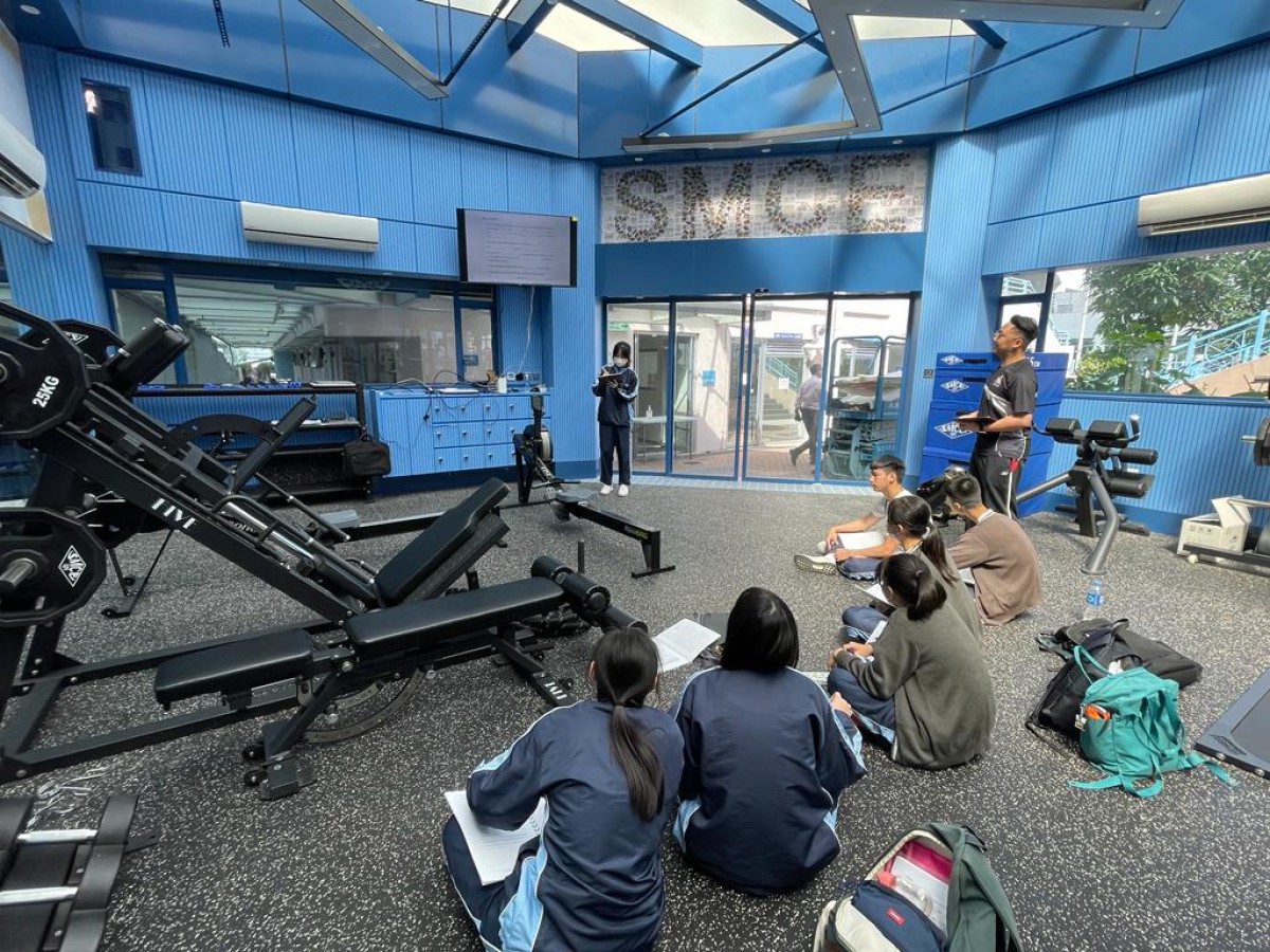 GYM Room - Fitness Kingdom