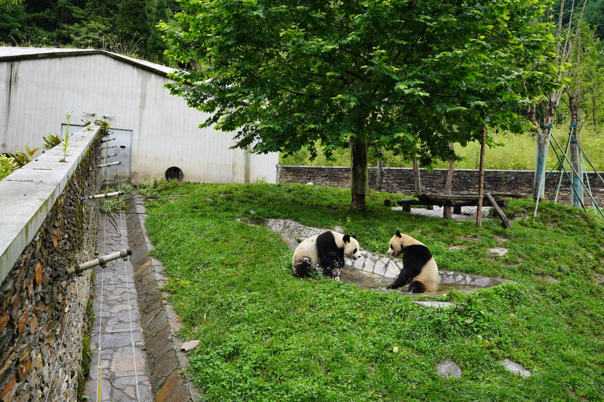 Sichuan Study Tour 2023