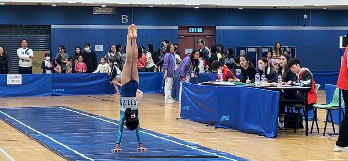 All Hong Kong Inter-Primary Schools Gymnastics Competition 2023-2024