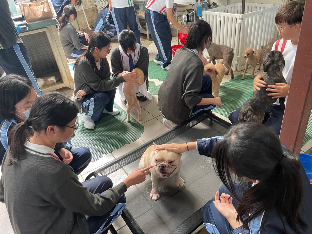 World Animal Day Celebration