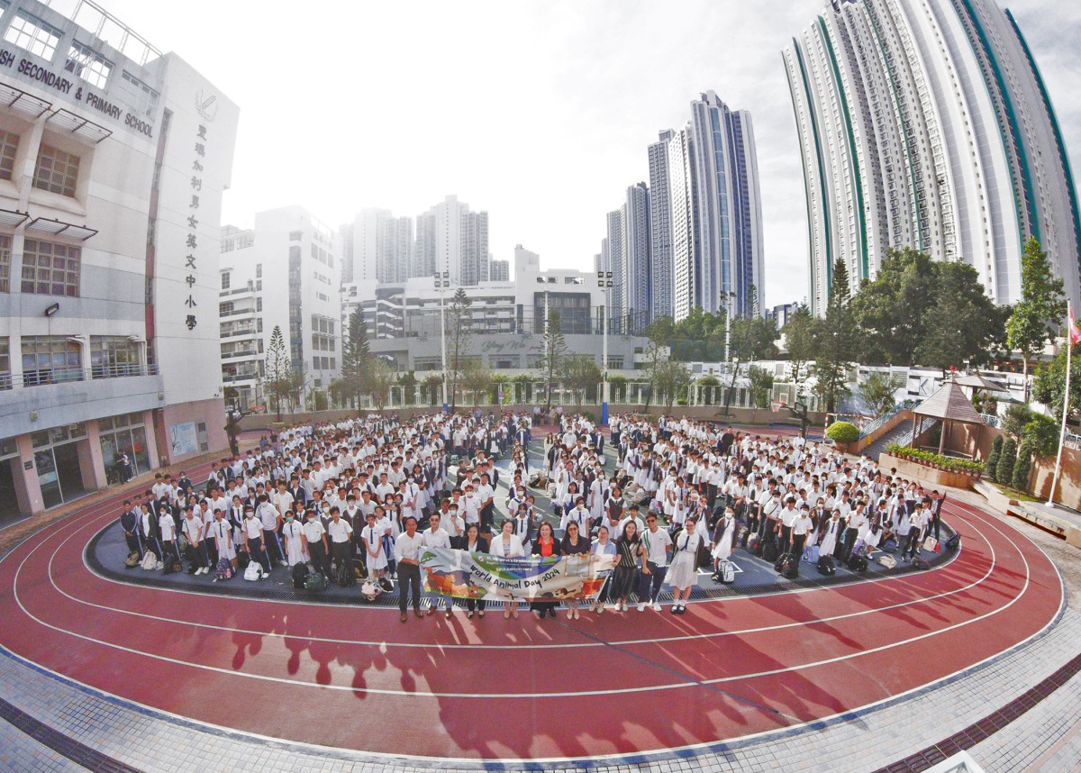 World Animal Day Celebration