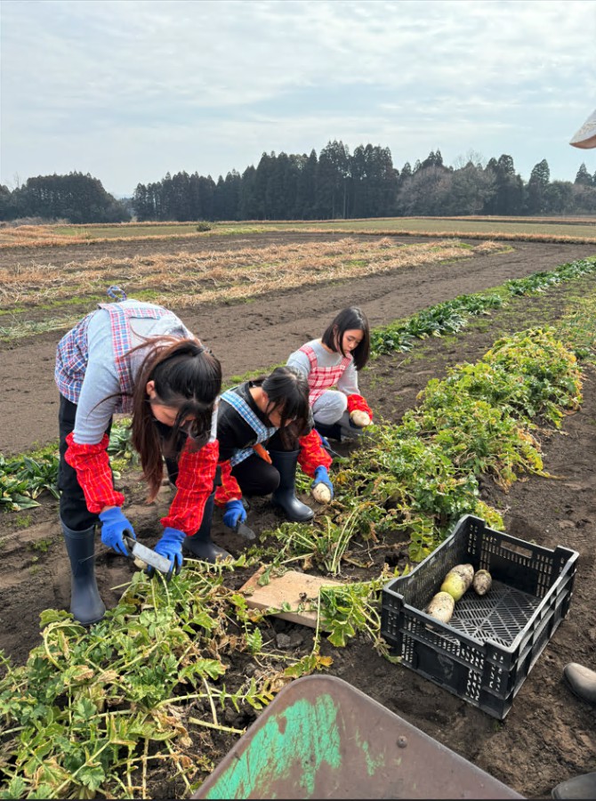 Secondary Miyazaki Cultural Exchange Study Tour 2024-2025